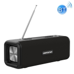 HOPESTAR T9 Portable Outdoor Bluetooth Speaker (Black)