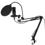 BM-66 Heart-shaped Pointing USB Condenser Microphone Cantilever Bracket Set
