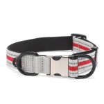 Dog Reflective Nylon Collar, Specification: S(Silver buckle red)